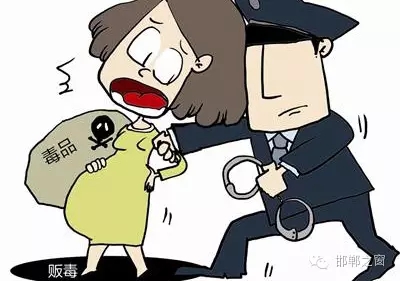 2016年初，涉縣警方查獲一起涉毒案件，鑒于該案涉案人員多、毒品交易量大，涉縣警方立即將案情上報(bào)，被公安部確立為“目標(biāo)-2016-314”號(hào)毒品案件。涉縣警方成立專案組，經(jīng)過(guò)多方追查，先后抓獲團(tuán)伙人員13名，繳獲毒品5349克，并查明上線“濮姐”的真實(shí)身份為陳某。